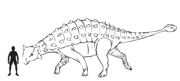 Раскраска динозавр Анкилозавр