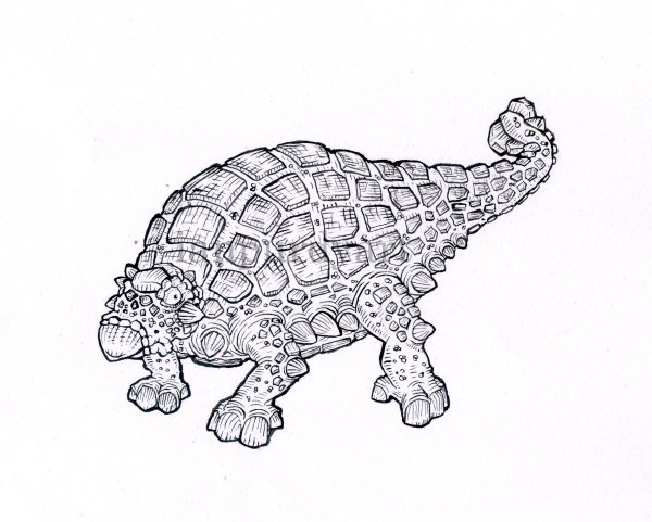 Анкилозавр раскраска