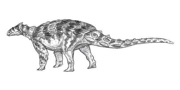 Динозавры Гаргойлеозавр