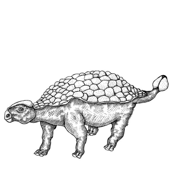 Анкилозавр Пинкфонг