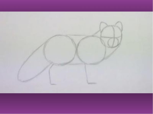 Песец схема рисования