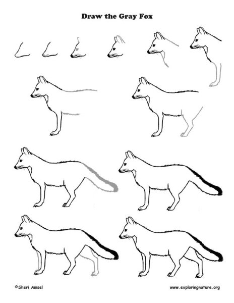 Писец рисунок