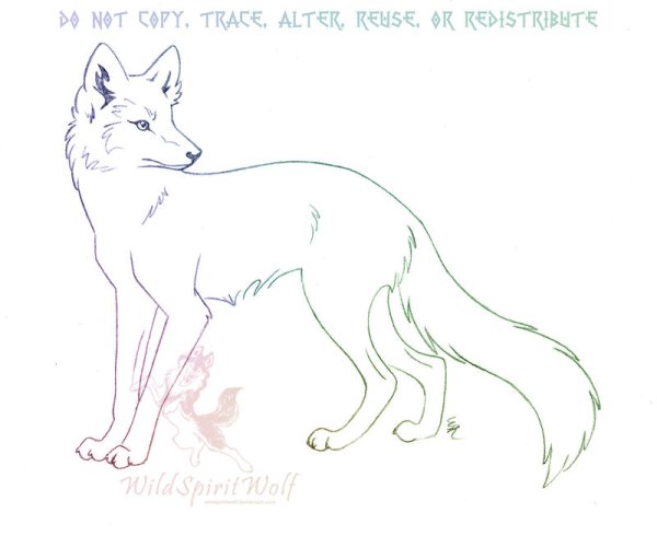 Песец раскраска