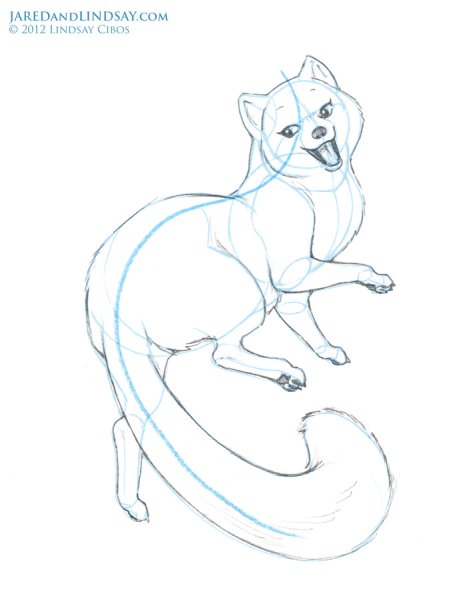 Песец в тундре рисунок