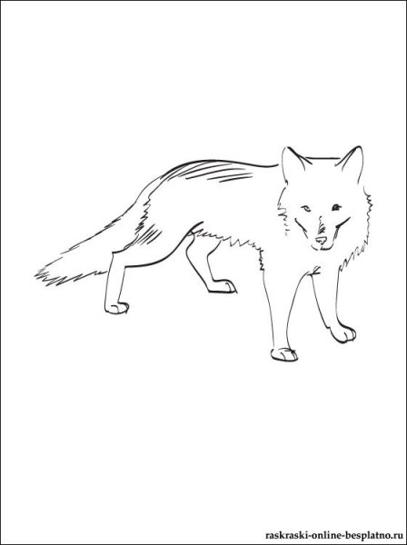 Поэтапно песца детям 1 класс