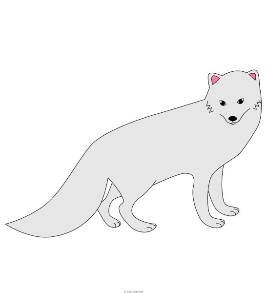 Нарисовать песца легко