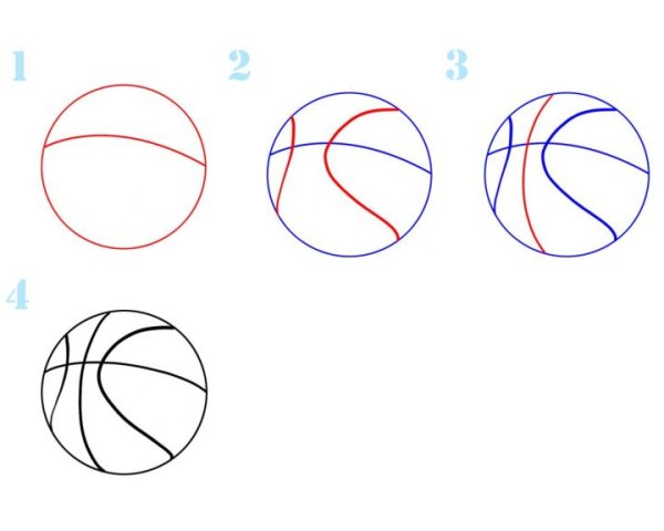 Поэтапное рисование баскетбольного мяча