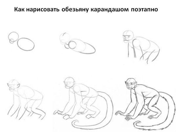 Выполнить набросок фигуры человека