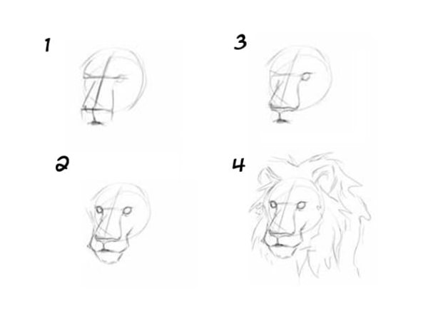Лев рисунок пошагово