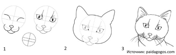Мордочка кошки рисунок поэтапно