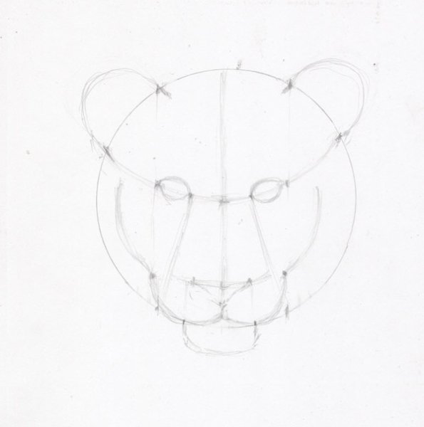 Поэтапное рисование головы Льва