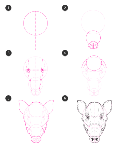 Как нарисовать кабана