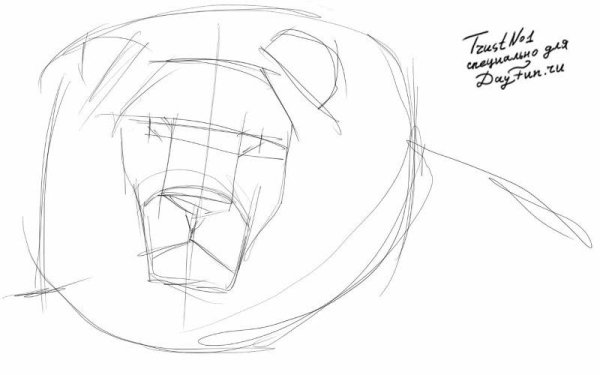 Рисовать морду Льва поэтапно карандашом