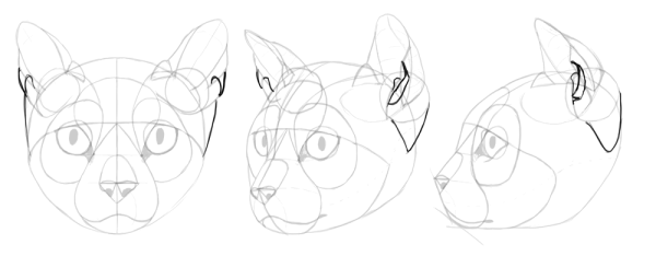 Построение морды