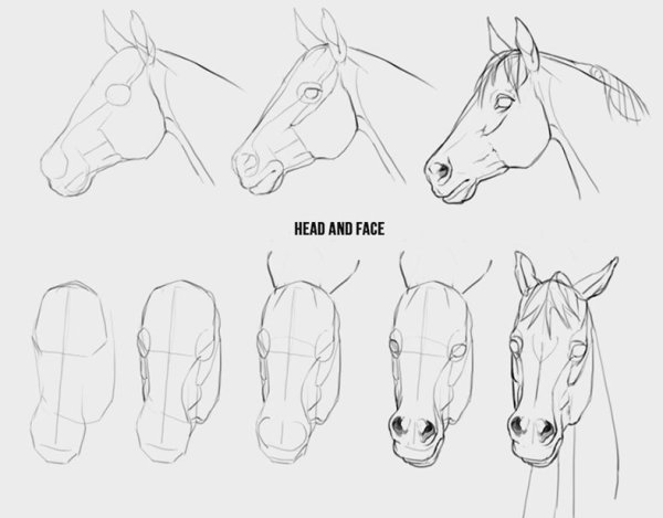 Нарисовать Симбу поэтапно