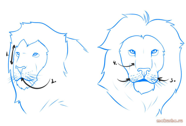 Рисование головы лошади