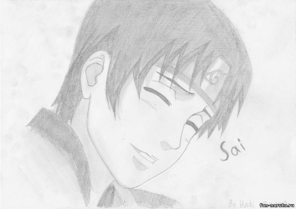 Сай рисунок карандашом