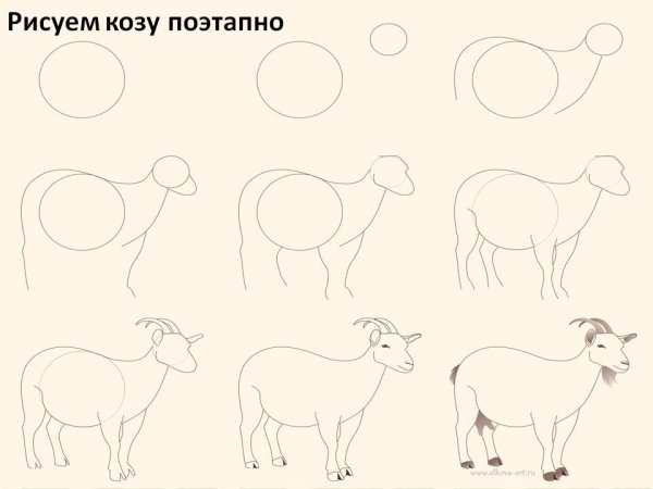 Поэтапное рисование дерева