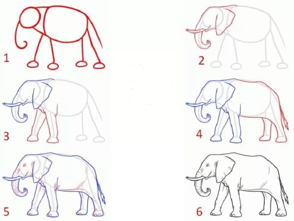 Пошаговое рисование в САИ