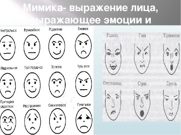 Основные мимические выражения лица