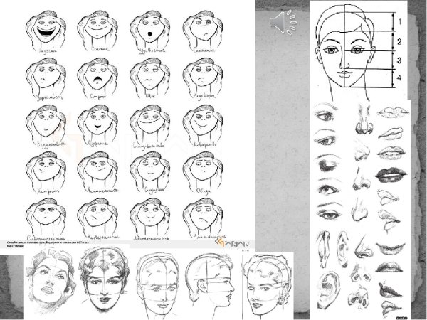 Графический портретный рисунок и выразительность образа человека