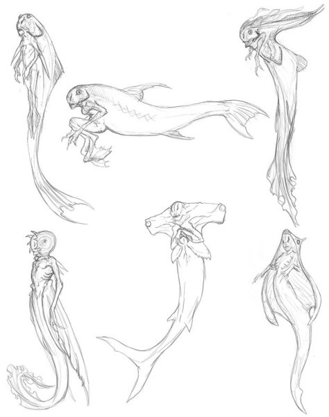 Референс русалки анатомия