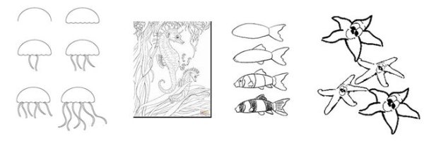 Схемы рисования морских обитателей для дошкольников