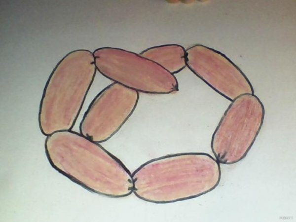 Поэтапное рисование сосиски