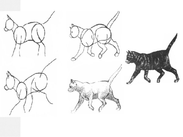 Поэтапное рисование старика