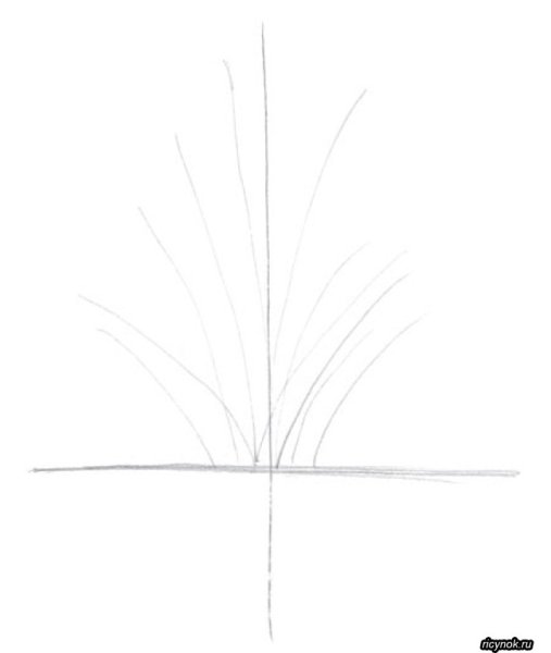 Кустик карандашом