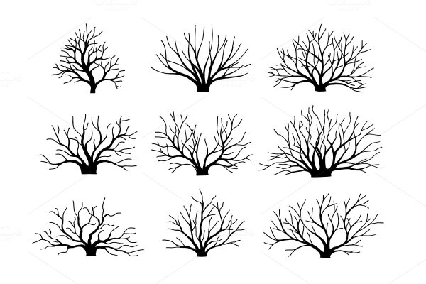 Кустарник без листьев