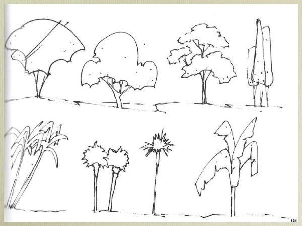 Как нарисовать кусты поэтапно для начинающих