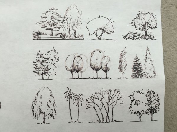 Стаффаж антураж деревья кусты