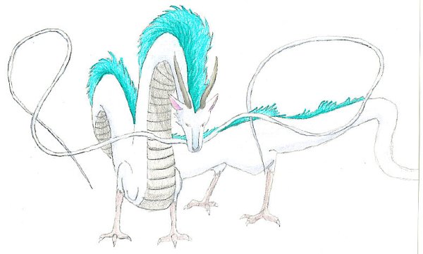 Дракон Хаку прорисовка