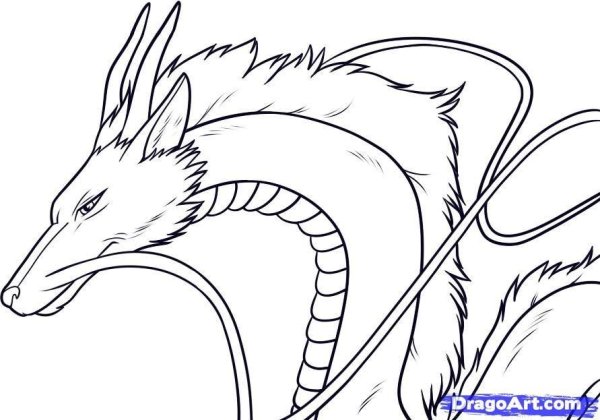 Хаку Унесенные призраками дракон скетч