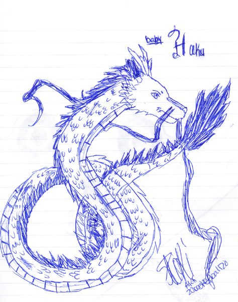 Дракон Хаку карандашом