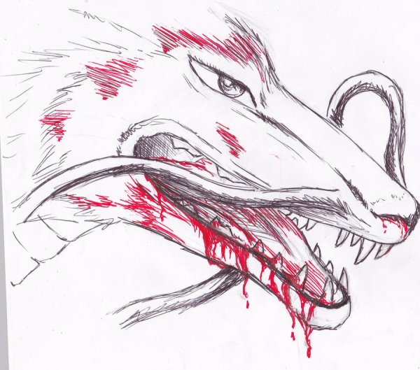 Дракон Унесенные призраками рисунок