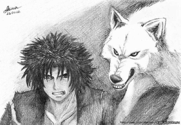 Волчий дождь карандашом