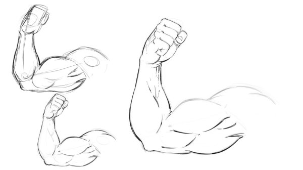 Мускулы нарисованные