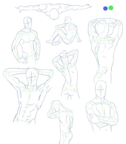 Анатомия накаченного мужчины в рисовании