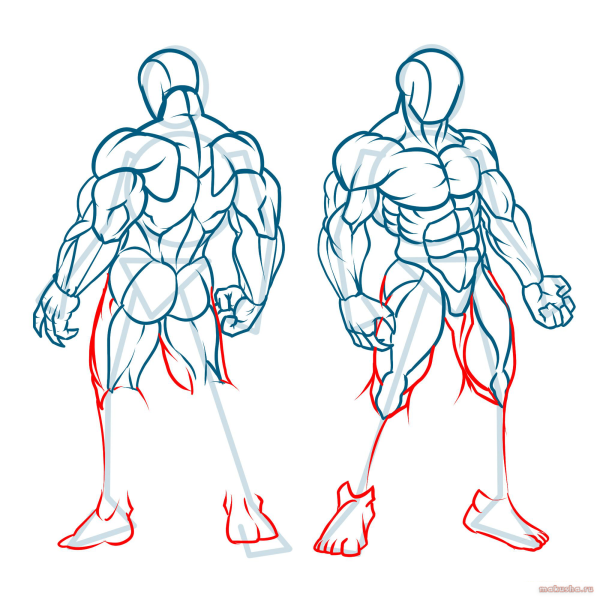 Мускулы для рисования