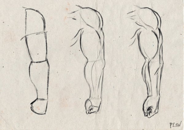 Как рисовать мускулы на руках