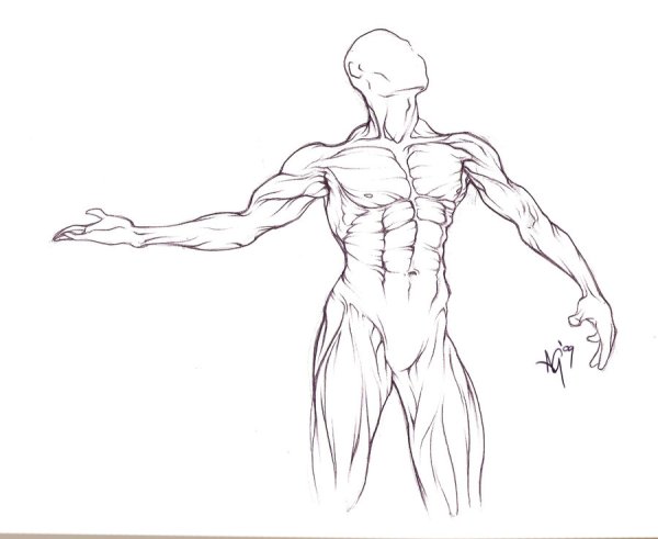 Накаченное тело для рисования