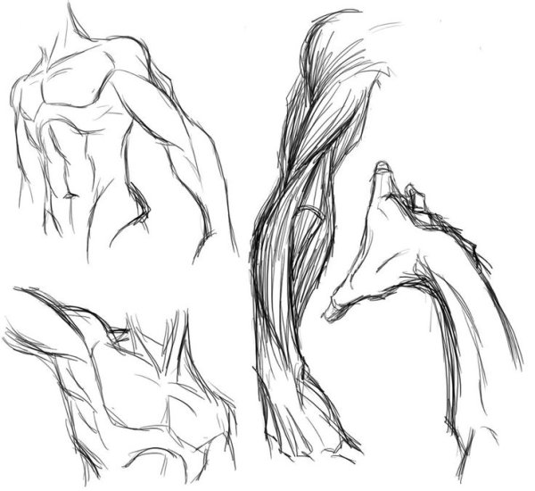 Скетч уроки рисования