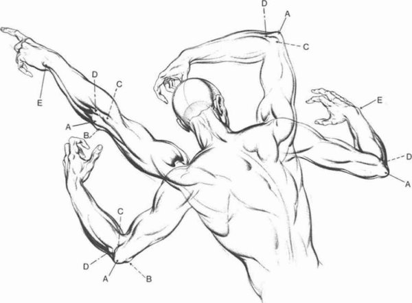 Человек с поднятой рукой референс