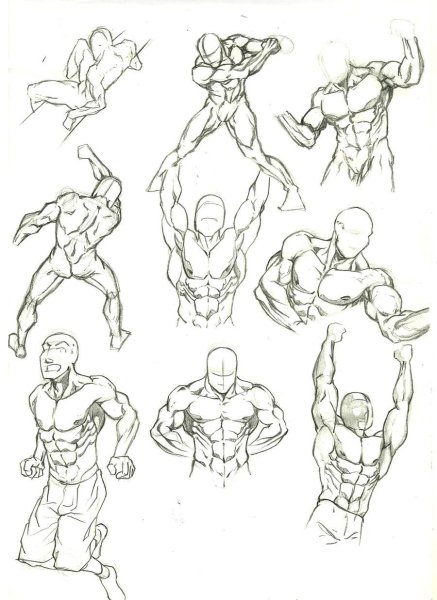 Позы качек для рисования