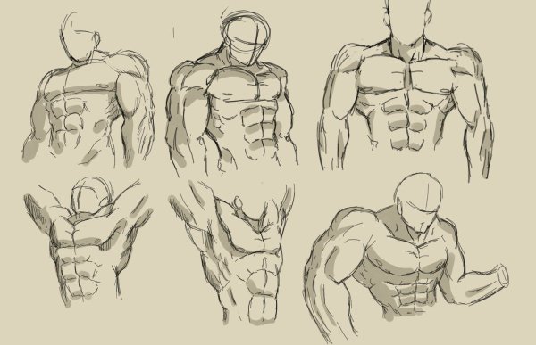 Мышцы рисунок аниме