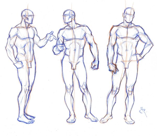 Анатомия парня референс