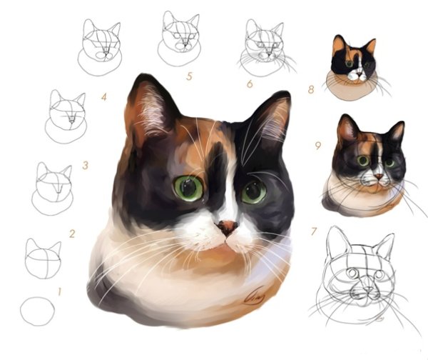 Нарисованный кот куки