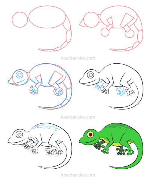 Как нарисовать ящерицу карандашом поэтапно для детей